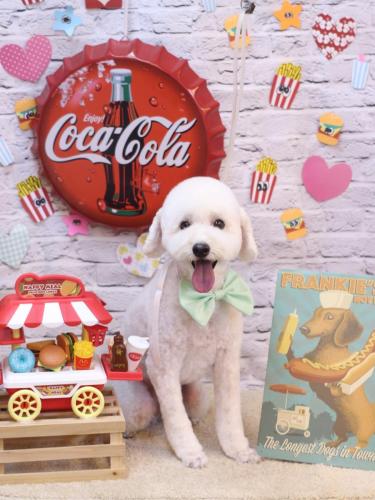 20230909ビビくん